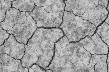 Kuru dracked toprak toprak yakın çekim