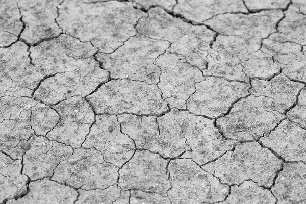 Cracked soil — Stock Photo, Image