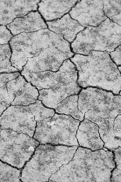 Cracked soil ground — Stock Photo, Image