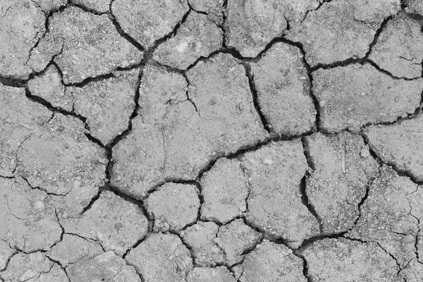 Cracked soil ground — Stock Photo, Image