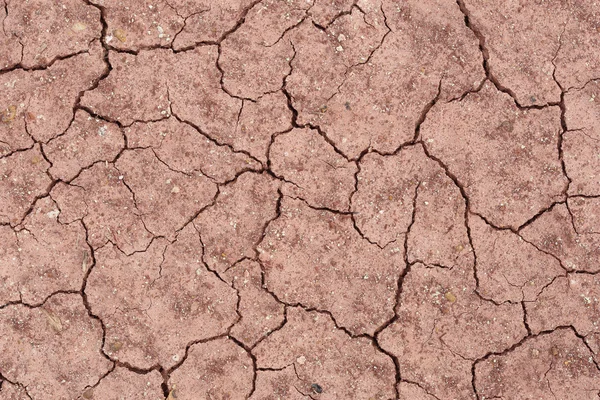 Тріщини землі грунту — стокове фото