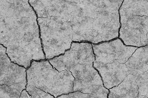 Close-up of dry dracked soil ground — Stock Photo, Image