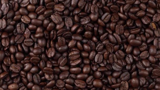 焙煎したコーヒー豆が回転しコーヒーの種が — ストック動画