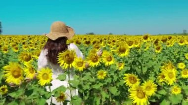 Neşeli kadın yürüyor ve ayçiçeği tarlasıyla eğleniyor.