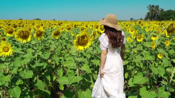 Slow Motion Van Vrolijke Vrouw Wandelen Genieten Met Zonnebloem Veld — Stockvideo