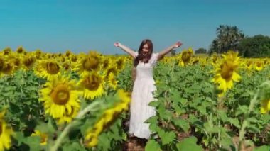 Neşeli kadın kolları havada yürüyor ve ayçiçeği tarlasıyla eğleniyor.