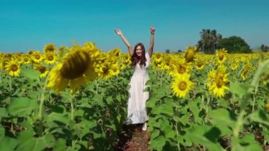 Kolları havada yürüyen ve ayçiçeği tarlasıyla eğlenen neşeli kadının yavaş çekimleri.