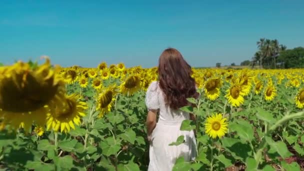 Gerak Lambat Wanita Ceria Berjalan Dan Menikmati Dengan Bidang Bunga — Stok Video