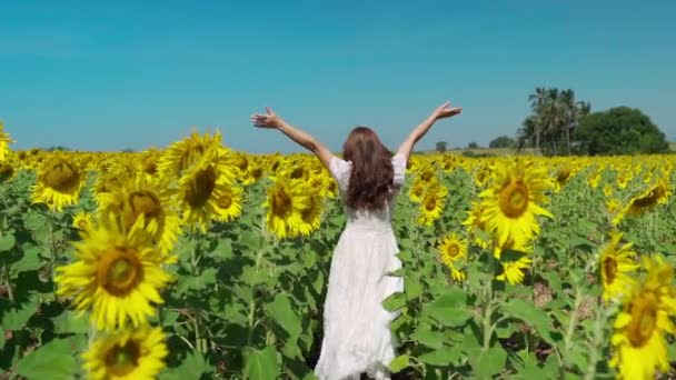 Повільний Рух Веселої Жінки Йде Піднятими Руками Насолоджується Соняшниковим Полем — стокове відео