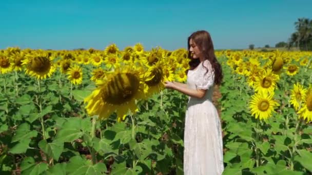 Ayçiçeği Tarlasıyla Eğlenen Neşeli Kadının Ağır Çekimde — Stok video