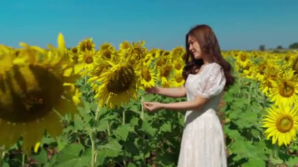 Mujer Alegre Disfrutando Con Campo Girasol — Vídeos de Stock