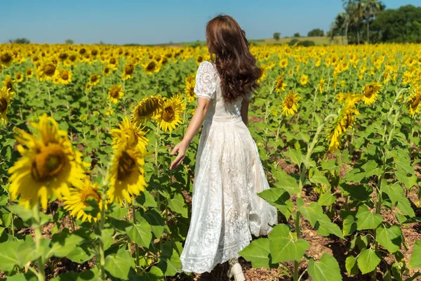Fröhliche Frau Spaziert Und Genießt Mit Sonnenblumenfeld — Stockfoto