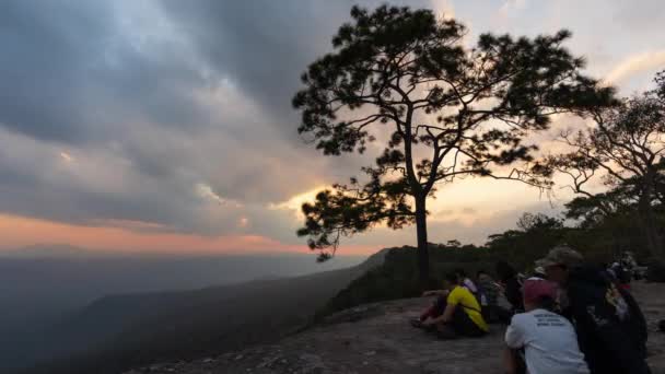Phu Kradueng Dağları Ulusal Parkı Ndaki Mark Dook Cliff Pha — Stok video
