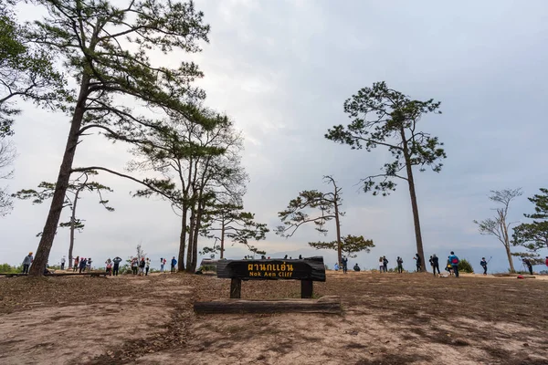 タイのロエイ 2021年12月25日 自然景観を望む観光客は Phu Kradueng山国立公園のNok Aen Cliffで 有名な旅行先は — ストック写真