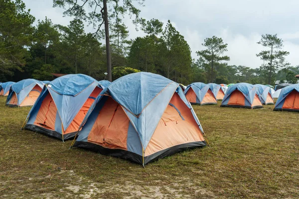 Tourist Tent Meadow Phu Kradueng Loei Province Thailand — Stock Photo, Image