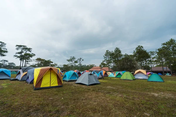 Tourist Tent Meadow Phu Kradueng Loei Province Thailand — Stock Photo, Image