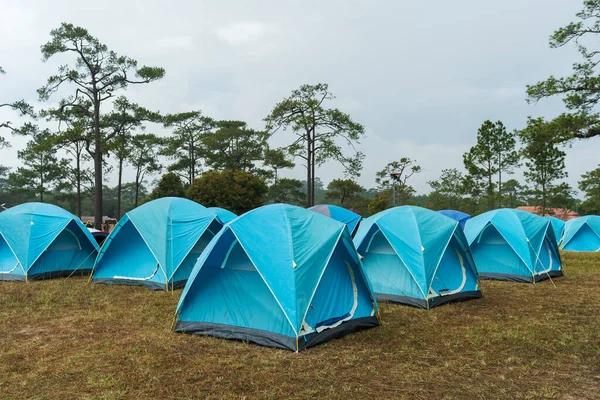 Tourist Tent Meadow Phu Kradueng Loei Province Thailand — Stock Photo, Image