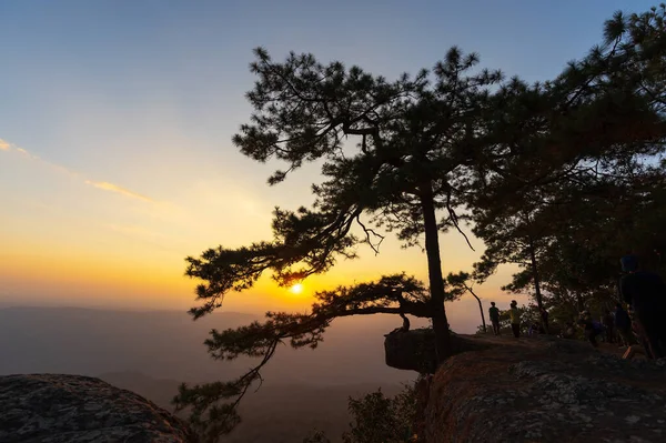 Loei Thailand Dec 2021 Toeristen Bezoeken Lom Sak Cliff Pha — Stockfoto