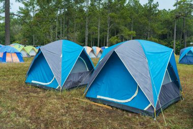 Tayland 'ın Loei bölgesindeki Phu Kradueng otlağında bir çadır.