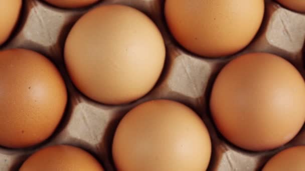 Huevos Pollo Cartón Disparo Rotación — Vídeos de Stock