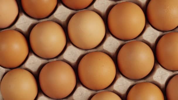 Huevos Pollo Cartón Disparo Rotación — Vídeos de Stock