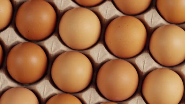 鶏の卵を段ボールに回転ショット — ストック動画