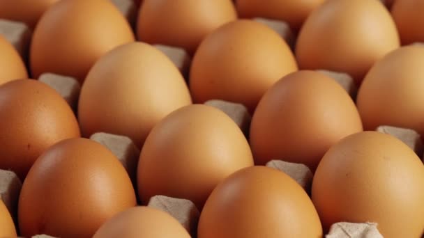 鶏の卵を段ボールに回転ショット — ストック動画