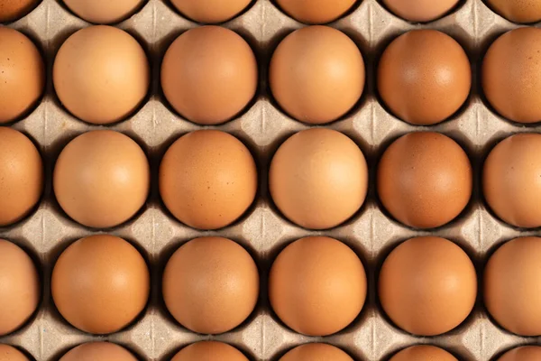 Ovos Galinha Frescos Cartão — Fotografia de Stock