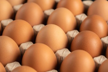 Kartondan taze tavuk yumurtası.