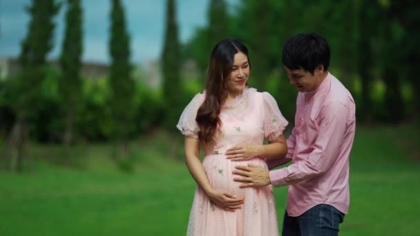 Evli Çift Bebek Bekliyor Adam Parkta Hamile Karısını Kucaklıyor — Stok video