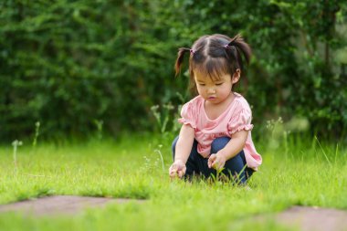 Küçük kız tarlada oturup çim çiçeği oynuyor.