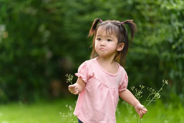 Menina Criança Jogando Flor Grama Campo — Fotografia de Stock