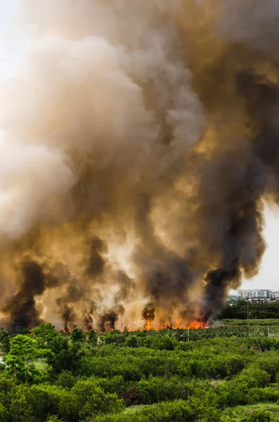 Incendio in città panoramica . — Foto Stock