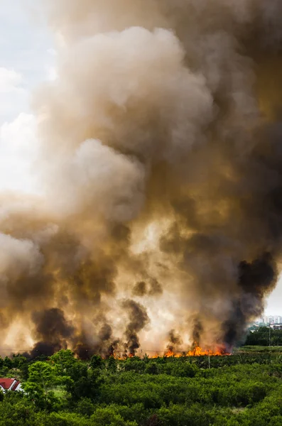 Şehir Özet kısmında yangın. 