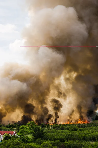 Şehir Özet kısmında yangın. 