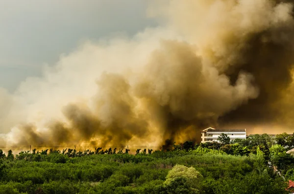 Fire in the city overview. — Stock Photo, Image