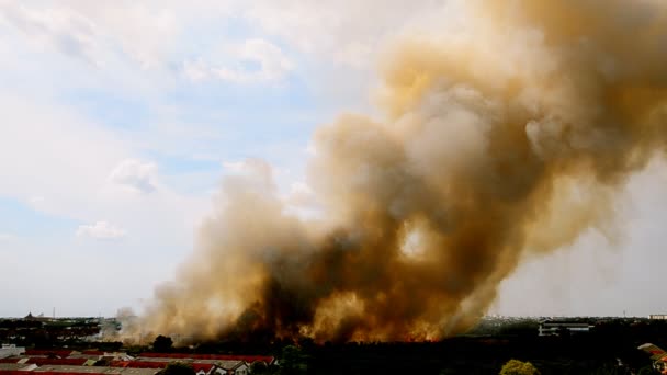 Incendi boschivi in città, In Thailandia . — Video Stock