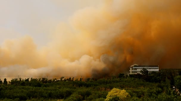 Fogo florestal na cidade, na Tailândia . — Vídeo de Stock