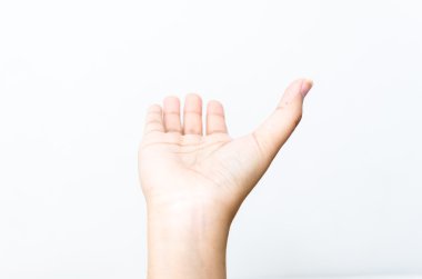 güzel kadın eli, palmiye up close-up. beyaz b izole