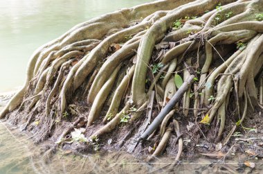 Waterfalll Num Tok Chet Sao Noi Milli Parkı, Tayland at 