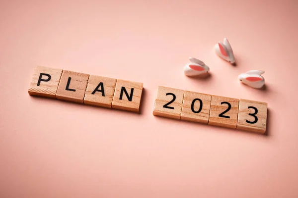 Plan 2023 Texte Sur Blocs Bois Avec Arrière Plan Concept — Photo