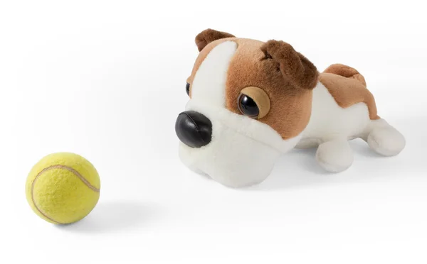 Plush Dog and Tennis Ball — Stock Photo, Image