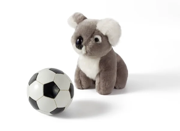 Koala plucheachtig met voetbal — Stockfoto