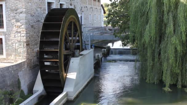 Watermill ile kırsal manzara — Stok video