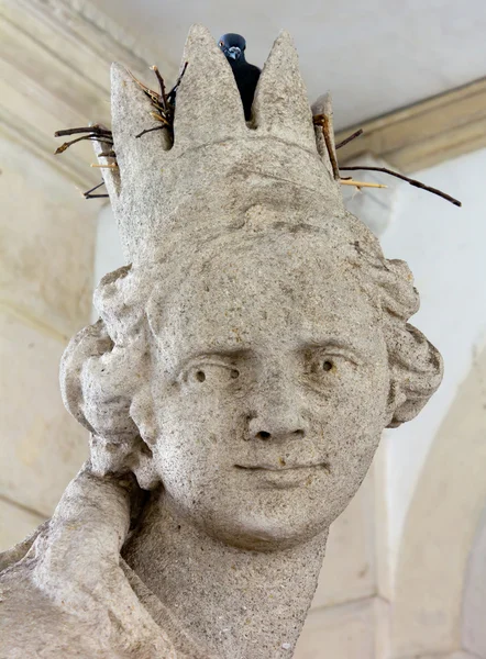 Nido de paloma dentro de la corona de una estatua — Foto de Stock