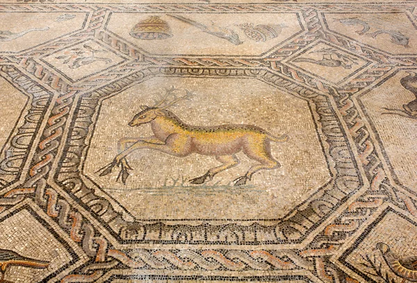 Staré podlahové mozaiky v bazilice aquileia — Stock fotografie