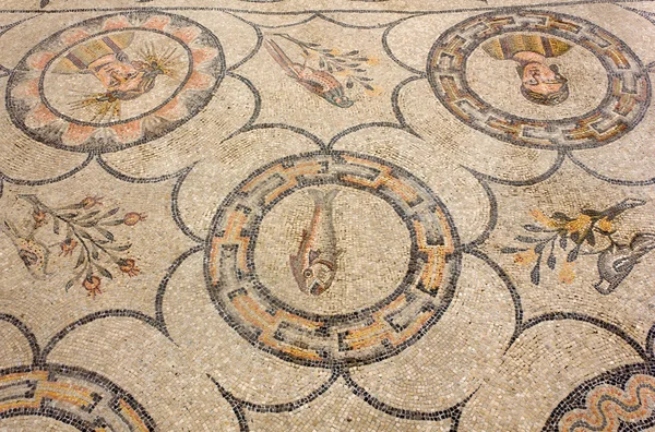 アクイレイア大聖堂で古代の床モザイク — ストック写真