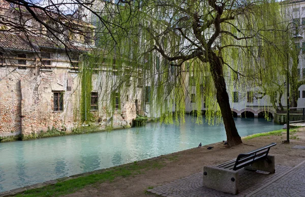 Schaduwrijke wandelpad in treviso — Stockfoto