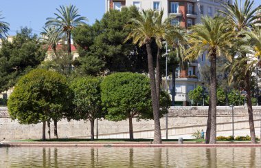 Jardin del turia park Valencia