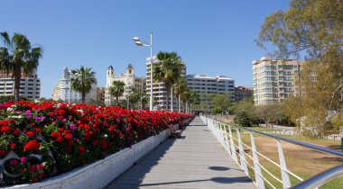 Valencia görünümü